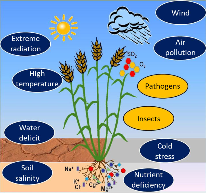 Stress combination plant stress