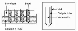 Peg root control что это