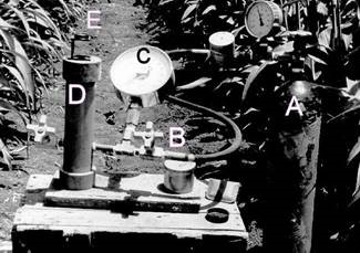 Fig.2. The pressure chamber; (A) pressurized gas cylinder; (B) the chamber pressurizing valve; (C) pressure gage; (D) the chamber; (E) magnifying glass. (A self-made unit – not recommended to follow suit).