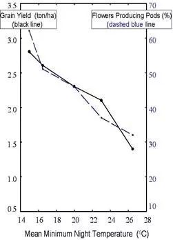 Figure 2. Grain yield and % flowers producing pods for cowpeas grown under different night-time temperatures in the same field (data from Nielsen and Hall 1985b)