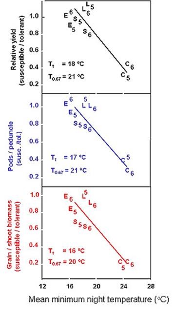 Fig.4. Relative plant production of heat-susceptible and heat tolerant pairs of cowpea lines grown in different fields with contrasting thermal regimes (data from Ismail and Hall, 1998).