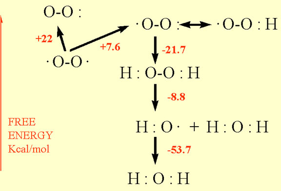 Figure 2 The activation states of oxygen. Non-activated oxygen is a biradical. From this triplet state it can be activated by either reversing the spin on one of the unpaired electrons to form the singlet state or by reduction. The first reduction reaction is endothermic forming superoxide. Subsequent reductions form hydrogen peroxide, hydroxyl radical and water. The electronic state for each activation step is shown with the energy of the reaction in Kcal/mole.