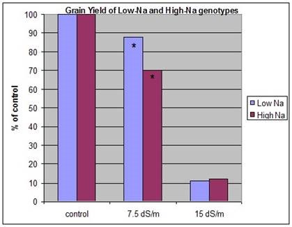 Fig. 4. Effect of different salinity levels on grain yield of low and high Na+ uptake durum landraces (133 d in salt). Husain et al. (2003).